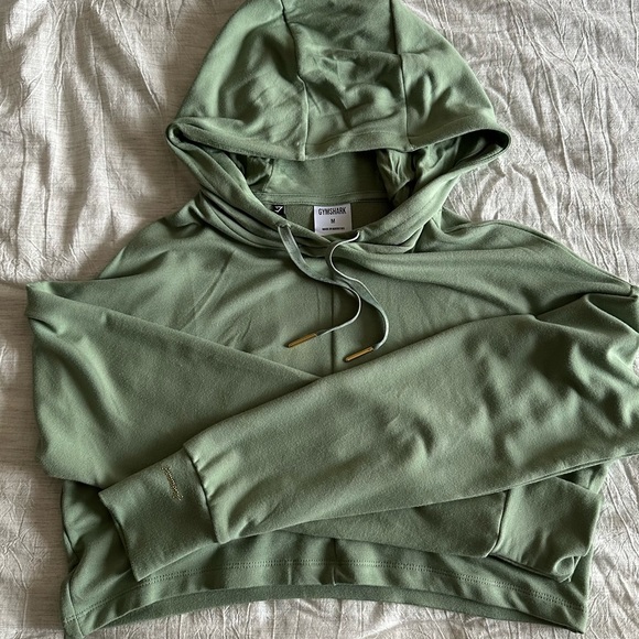 Whitney Simmons x Gymshark Crop Hoodie 💚 - Picture 1 of 3